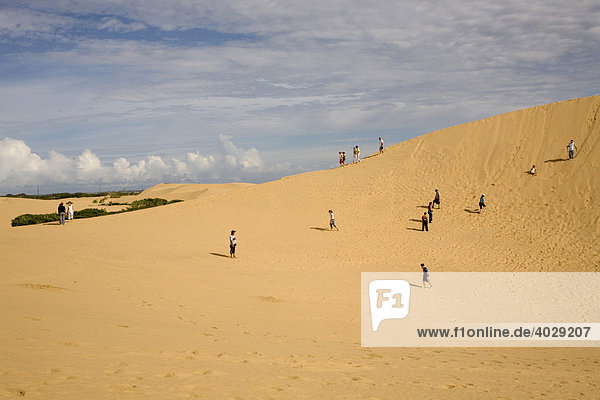Sand desert on the Istmus de Medanos  excursion destination  Paraguana Peninsula  Venezuela  South America