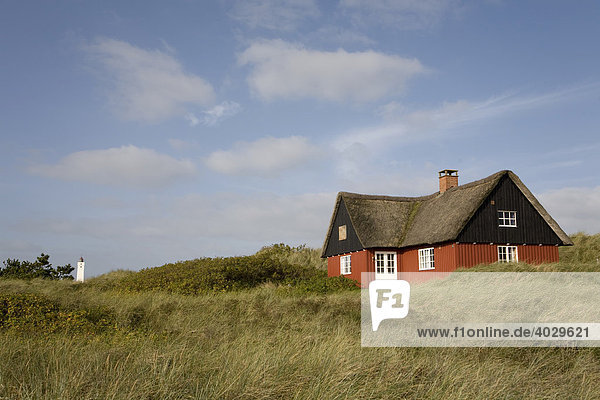Ferienhaus in den Dünen von Blaavand  Nordsee  Dänemark  Skandinavien  Nordeuropa