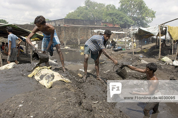 Viele Slumbewohner leben vom Recycling alter Industrieabfälle  junge Männer schütten bereits wegen Metallspänen ausgewaschene Industrie-Schlacke in eine Reihe von Erdlöchern  Howrah  Hooghly  Westbengalen  Indien