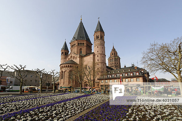 Dom  Blumenbeete  Mainz  Rheinland-Pfalz  Deutschland  Europa