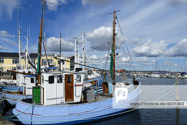 Fischerboot  Hafen  Saeby  Jütland  Dänemark  Europa