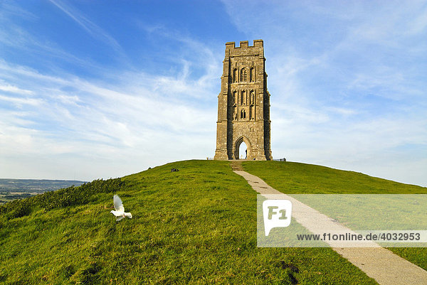 national trust glastonbury tor national trust glastonbury tor