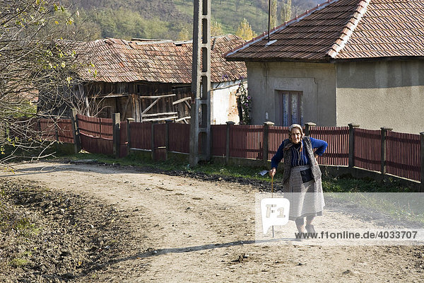 Rumänische Frau mit Kopftuch und Stock  Bezded  Salaj  Siebenbürgen  Transsilvanien  Rumänien  Europa