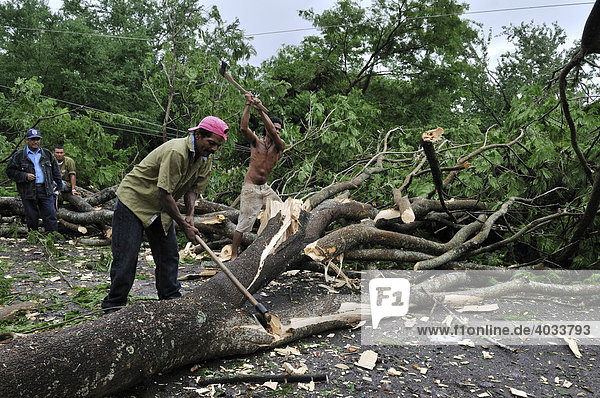 Hurricane Alma 31.05.2008  umgestürzter Baum blockiert die Straße  Villa Nueva  Chinandega  Nicaragua  Zentralamerika