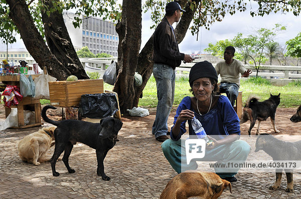 Ausgemergelte Frau  obdachlos  mit Hunden  Stadtteil Bras  Sao Paulo  Brasilien  Südamerika
