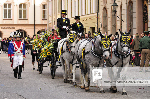 Pferdekutsche auf dem traditionellen Trachtenumzug zum Oktoberfest  München  Bayern  Deutschland  Europa