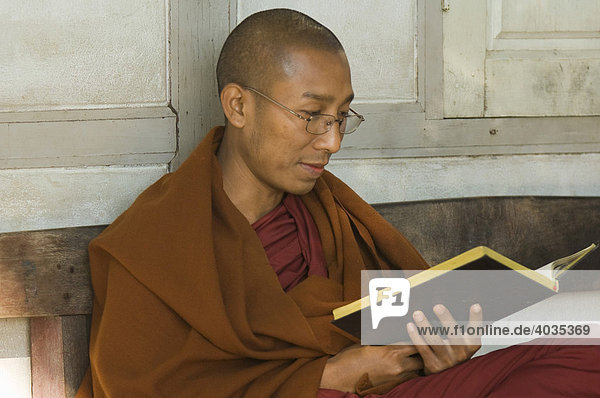Reading Buddhist monk  MahaGandhayon Kyaung or Mahaganda monastery  Amarapura  Burma  Myanmar  South East Asia