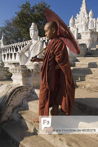 Young Buddhist monk with a red umbrella  Settawya Pagoda  Mingun  Burma  Myanmar  South East Asia