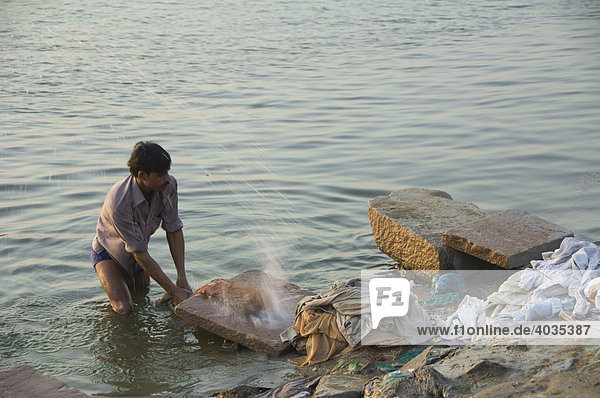 Indian man washing clothes in the Ganges  Varanasi  Benares  Uttar Pradesh  India  South Asia
