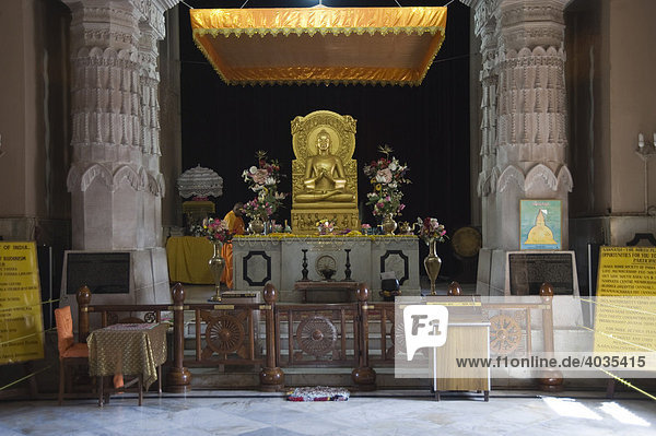 Golden Buddha statue  Mulagandha Kuti Vihara Buddhist temple  Sarnath  Uttar Pradesh  India  South Asia