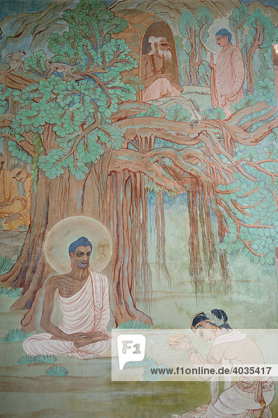 Sujata offering milk to Buddha who is living as an ascetic in the forest  detail of a wall painting of the Japanese artist Kosetsu Nosu representing the Life of Buddha  Mulagandha Kuti Vihara Buddhist temple  Sarnath  Uttar Pradesh  India  South Asia