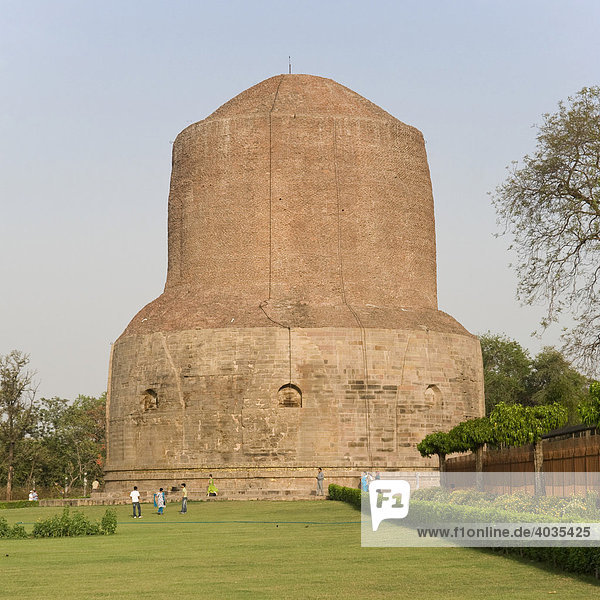 Dhamekh Stupa  Wildpark von Isipatana  Sarnath  Uttar Pradesh  Indien  Südasien