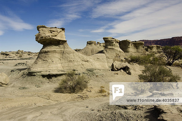 Die Sphinx  Ischigualasto  Valle de la Luna  Mondtal  Welterbe der UNESCO  Provinz San Juan  Argentinien