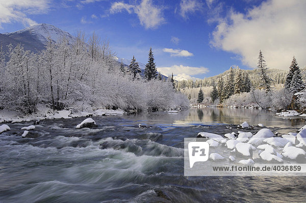 Fresh overnight snowfall blanketing the landscape  Miette River just west of Jasper townsite  Jasper National Park  Alberta  Canada
