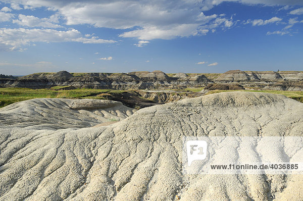 Horseshoe Canyon  Alberta  Canada  North America