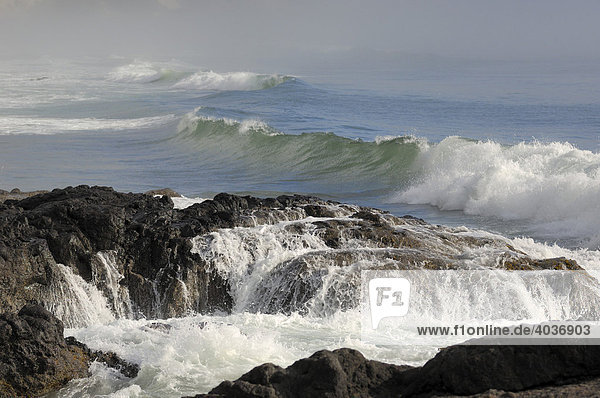 Wellen brechen sich an der Küste von Oregon  Cape Perpetua  Oregon  USA Wellen brechen