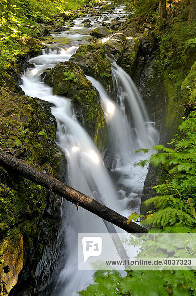 Sol Duc Falls  Wasserfall  Touristenattraktion  Olympic Peninsula  Nationalpark  Washington  USA  Nordamerika