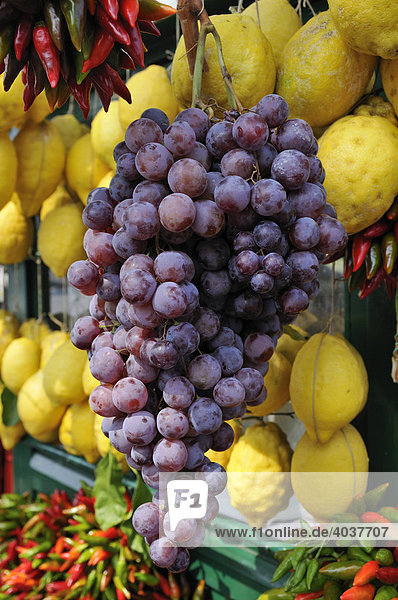 Blaue Weintrauben und Zitronen an einem Marktstand in Sirmione  Lombardei  Italien  Europa