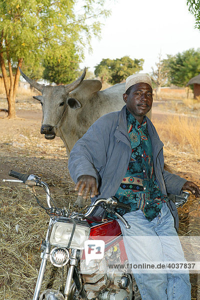 Man leaning against a motorbike  and a zebu on the village road  Houssere Faourou  Cameroon  Africa