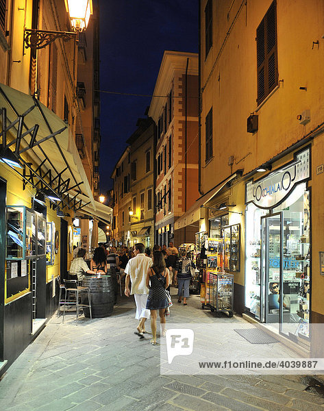 Alassio pedestrian zone  night photograph  Riviera dei Fiori  Liguria  Italy  Europe