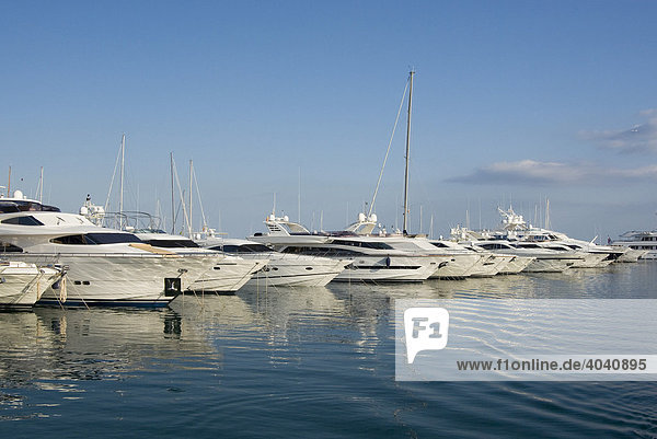 Jachthafen von Portals Nous  Mallorca  Balearen  Spanien  Europa