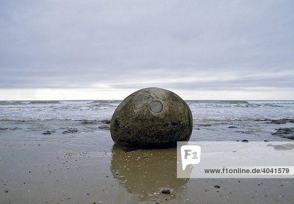 Moeraki Boulders  ball of rock on the beach south of Oamaru  South Island  New Zealand