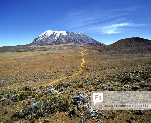 Weg zum Kilimandscharo  Kilimanjaro Nationalpark  Unesco Weltnaturerbe  Schichtvulkan  Tansania  Ostafrika  Afrika