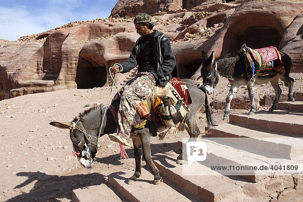 Beduine reitet auf Esel (Equus asinus asinus) eine Treppe hinunter  Petra  Jordanien  Naher Osten  Asien