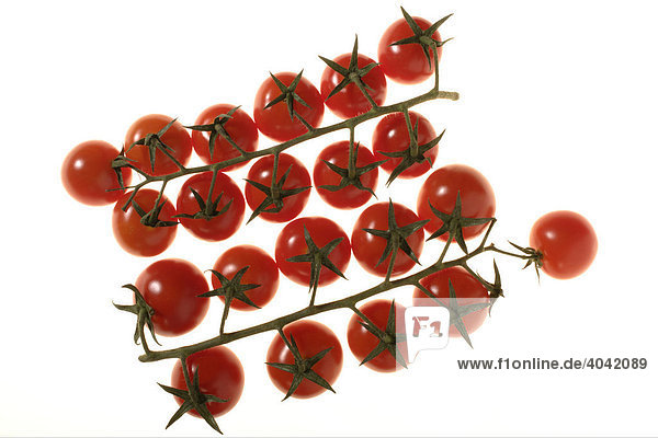 Cherry-Tomaten (Solanum lycopersicum)