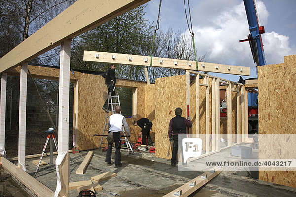 Bau eines Holzhauses durch Zimmerleute  Einfamilienhaus in Holzrahmenbauweise als Niedrigenergiehaus  Recklinghausen  Nordrhein-Westfalen  Deutschland  Europa