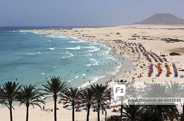 Dünenstrand  Urlauber  Grandes Playas  im Norden der Insel bei Corralejo  Fuerteventura  Kanarische Inseln  Spanien  Europa