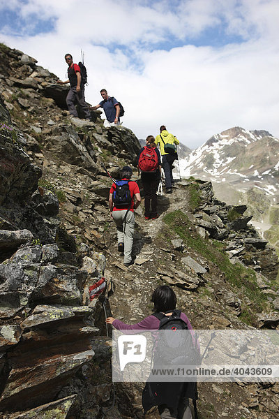 Hiking group hiking from Fernau mid-station of the Stubai Glacier cable car over Peiljoch  Stubai Valley  Tyrol  Austria  Europe