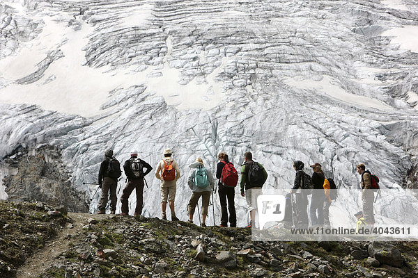 Hiking group hiking from Peiljoch alongside the Sulzen Glacier  Stubai Valley  Tyrol  Austria  Europe