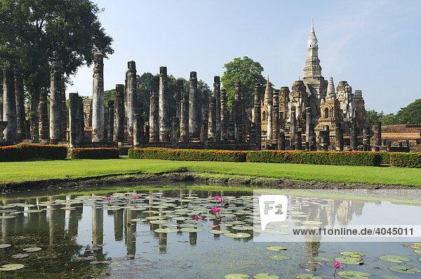 Tempel Wat Mahathat in der Tempelanlage des Unesco Weltkulturerbe  Sukhotai  Thailand  Asien