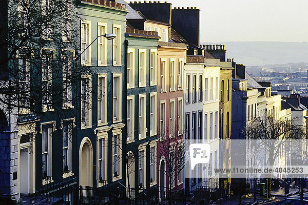 Häuserzeile in einer steilen Straße  pastellfarbige Fassaden  Cork  Irland  Europa