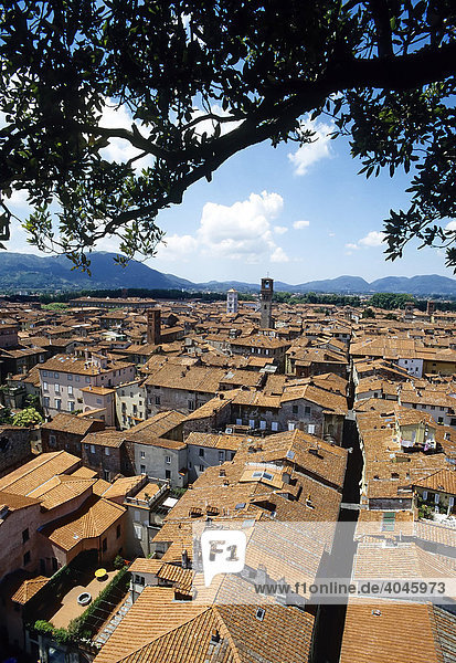Lucca  panoramic view over the roofs  Tuscany  Italy  Europe