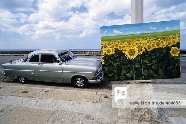 Gemälde mit Sonnenblumenfeld  am Straßenrand ausgestellt  US-Oldtimer  Flohmarkt  Vedado  Havanna  Kuba  Karibik