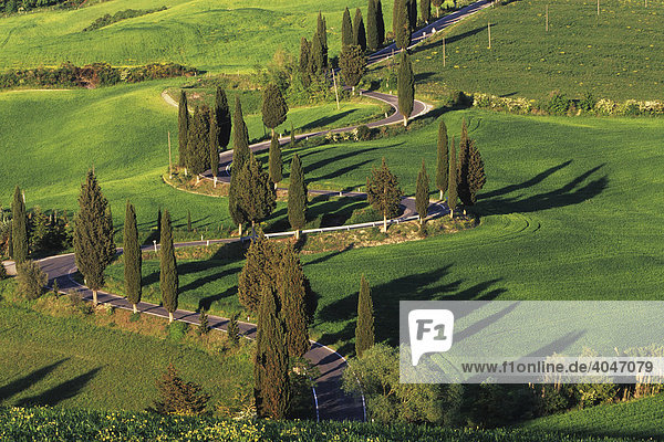 Kurvige Straße bei Monticchiello Toskana Italien Europa