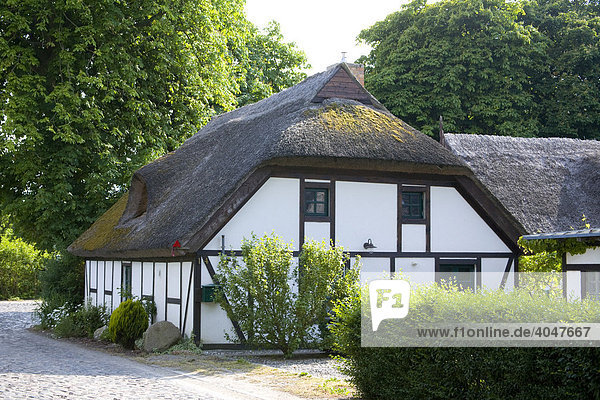 Haus mit Schilfdach in Nardevitz  Rügen  Mecklenburg-Vorpommern  Deutschland  Europa