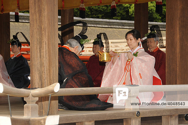 Eine Tempeldienerin im Kimono bedient Shinto-Priester bei der Andacht im Shimogamo Schrein vor der Prozession zum Berg Mikage in Kyoto Japan Asien
