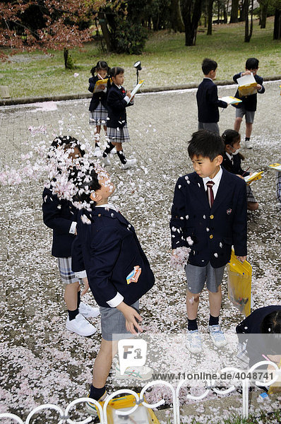 Schüler in Uniform einer Elitegrundschule bewerfen sich mit Kirschblütenblätter beim handlungsorientierten Unterricht im Botanischen Garten in Kyoto Japan Asien
