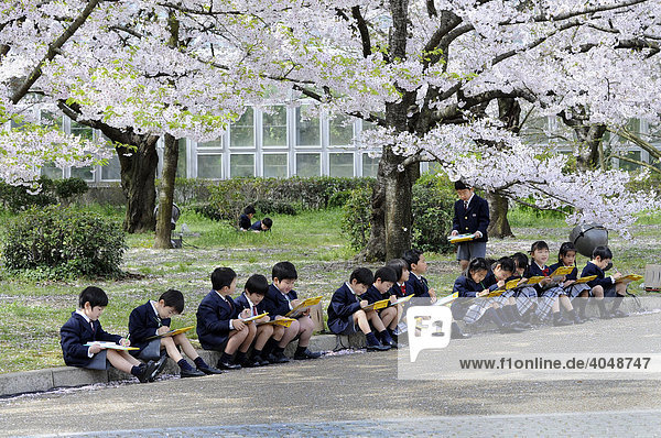 Schüler in Uniform einer Elitegrundschule beim handlungsorientierten Unterricht im Botanischen Garten in Kyoto Japan Asien