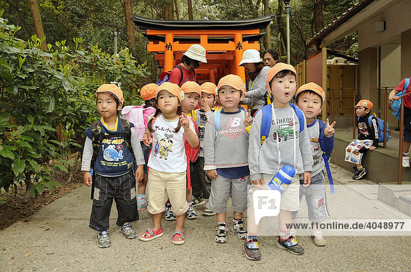 Japanese kindergarten children visiting the Fujimi Shrine in Kyoto  Japan  Asia