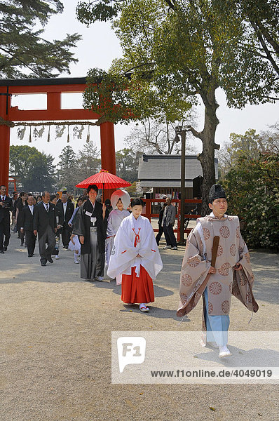 Brautpaar auf dem Weg zur shintoistischen Andacht mit Miko  Tempeldienerin  und shintoistischem Priester im Kamigamo Schrein  Kyoto  Japan  Asien