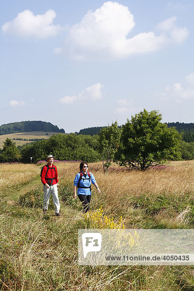 Hikers at Heidelstein Mountain  Lange Rhoen Mountains  Lower Franconia  Bavaria  Germany  Europe