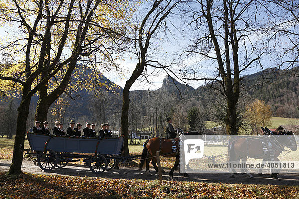 Coach during Leonhardifahrt  the feast day of Saint Leonard of Noblac  Kreuth  Tegernsee Valley  Upper Bavaria  Germany  Europe