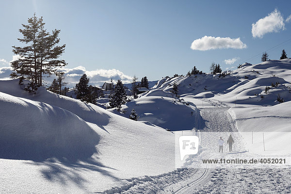 Wintery hiking trail in the Rofan  Rofan Range  Tyrol  Austria  Europe