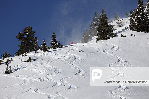 Skiing trails in deep powder snow  Rofan skiing area  Rofan Range  Tyrol  Austria  Europe
