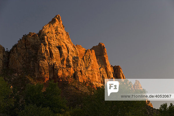 Berg im Abendlicht  Zion Nationalpark  Utah  USA