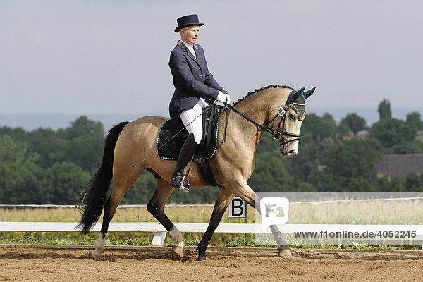 Horsewoman on a trotting horse  dressage  Tournament Utenbach  Thuringia  Germany  Europe
